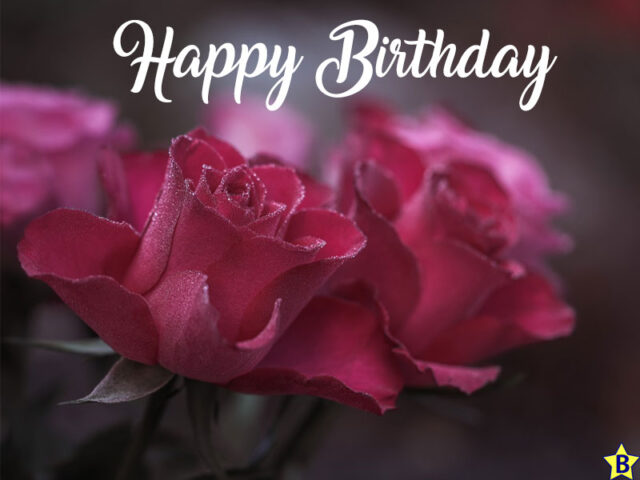 Happy Birthday Pink Roses Images