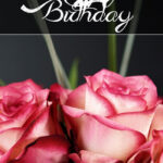 beautiful happy birthday pink roses